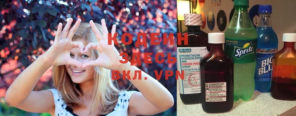 молекула духа Лабытнанги
