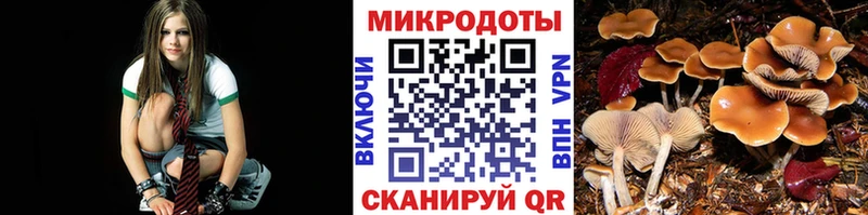 Галлюциногенные грибы Magic Shrooms  Заозёрный 